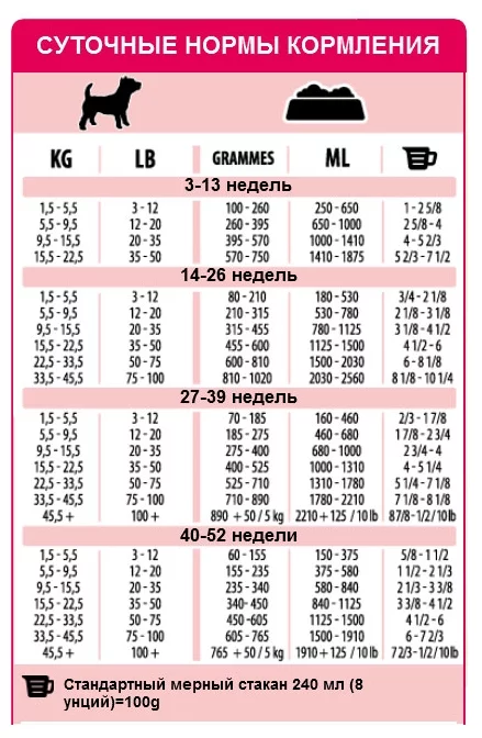 Схема кормления щенка по месяцам йорка